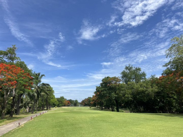 สนามกอล์ฟไดนาสตี้ แอนด์ คันทรีคลับ Dynasty Golf amp Country Club golf course and tree