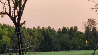 The grass is always greener on the golf course.
