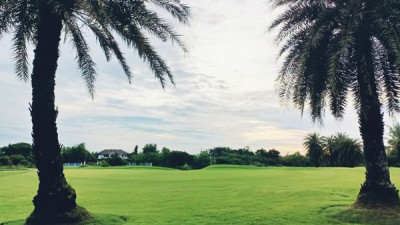 Love golf  our Golf course