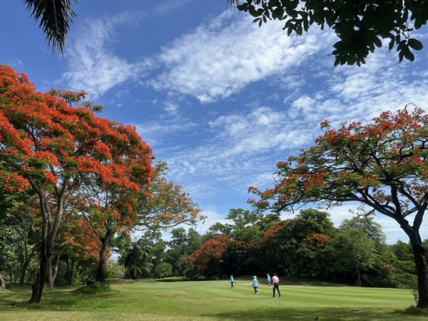 สนามกอล์ฟไดนาสตี้ แอนด์ คันทรีคลับ Dynasty Golf amp Country Club 3 people nature and tree