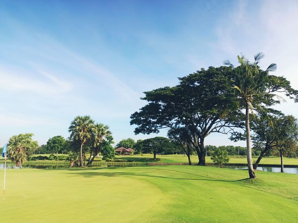 Bangpakong Riverside Country Club golf golf cart and golf course-3