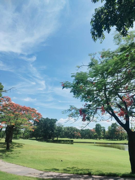 สนามกอล์ฟไดนาสตี้ แอนด์ คันทรีคลับ Dynasty Golf amp Country Club golf course tree grass and cloud