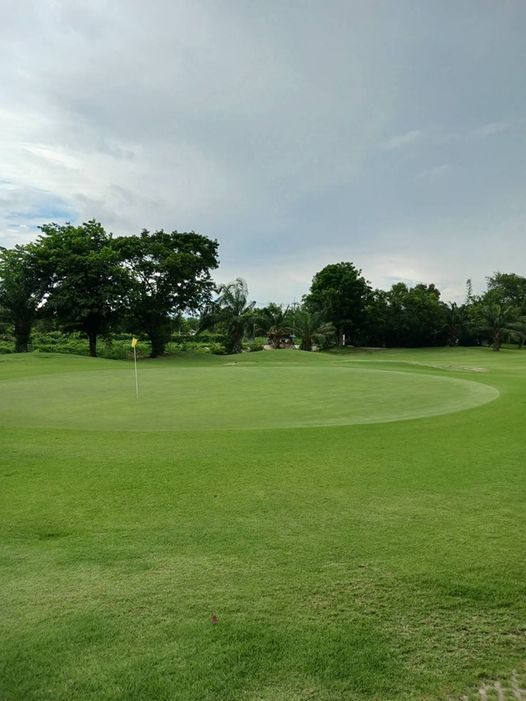 The Pine Golf Club golf and golf course