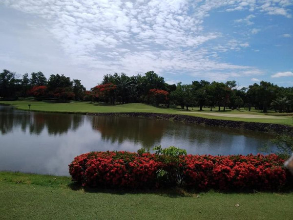 สนามกอล์ฟไดนาสตี้ แอนด์ คันทรีคลับ Dynasty Golf amp Country Club golf golf course and grass