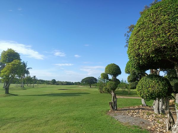 Bangpakong Riverside Country Club golf golf cart grass tree and golf course