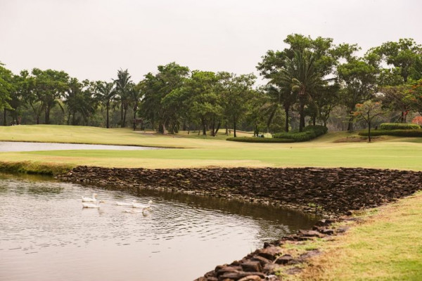 สนามกอล์ฟไดนาสตี้ แอนด์ คันทรีคลับ Dynasty Golf amp Country Club กอล์ฟ และ สนามกอล์ฟ