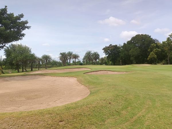 Bangpakong Riverside Country Club golf grass and golf course
