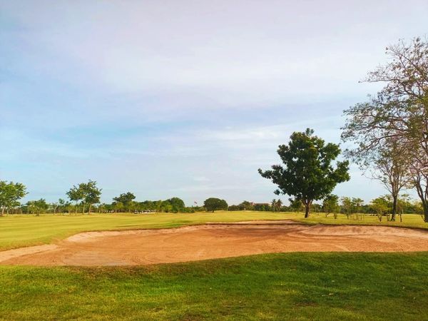 Bangpakong Riverside Country Club golf golf cart golf course and grass-3