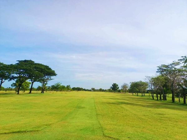Bangpakong Riverside Country Club golf golf cart golf course and grass