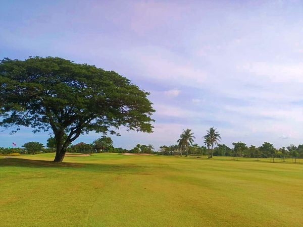 Bangpakong Riverside Country Club golf golf cart golf course grass and tree