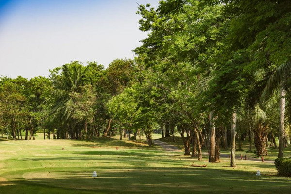 สนามกอล์ฟไดนาสตี้ แอนด์ คันทรีคลับ Dynasty Golf amp Country Club golf golf cart nature golf course and grass