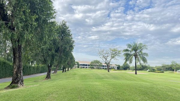 The Royal Golf amp Country Club 1 person golfing tree grass fog and golf course