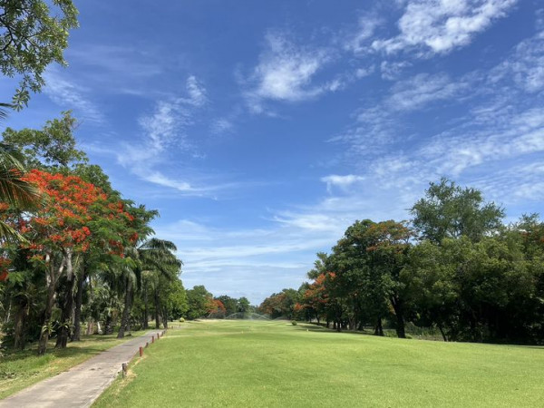 สนามกอล์ฟไดนาสตี้ แอนด์ คันทรีคลับ Dynasty Golf amp Country Club cloud golf course tree and nature