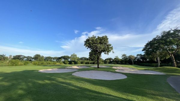 The Royal Golf amp Country Club golf golf course grass and tree