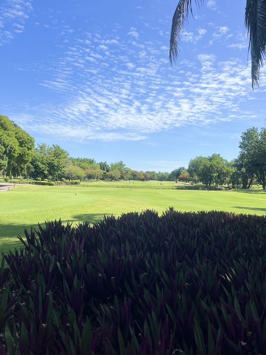 สนามกอล์ฟไดนาสตี้ แอนด์ คันทรีคลับ Dynasty Golf amp Country Club golf golf course and grass