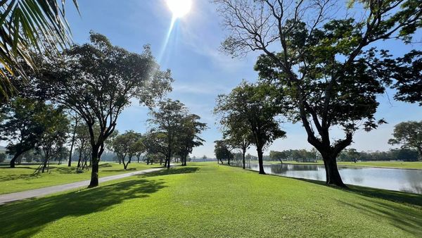 The Royal Golf amp Country Club tree lake grass and golf course