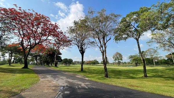 The Royal Golf amp Country Club golf course