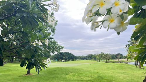 The Royal Golf amp Country Club กอล์ฟ สนามกอล์ฟ และ ต้นไม้