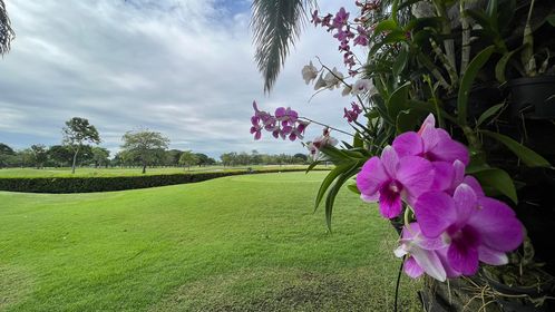 The Royal Golf amp Country Club สนามกอล์ฟ