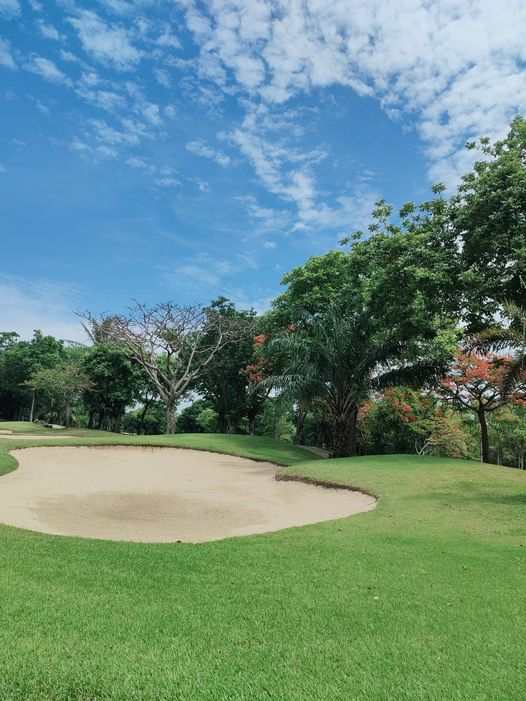 สนามกอล์ฟไดนาสตี้ แอนด์ คันทรีคลับ Dynasty Golf amp Country Club golf golf course and grass