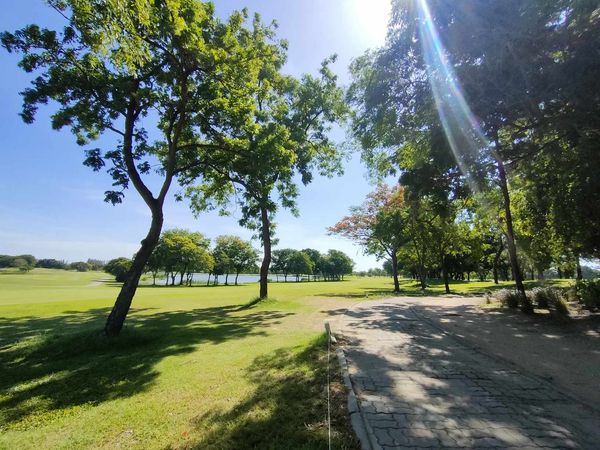 Uniland Golf amp Resort Thailand golf golf cart grass tree and golf course