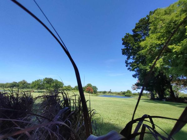 Uniland Golf amp Resort Thailand grass and golf course