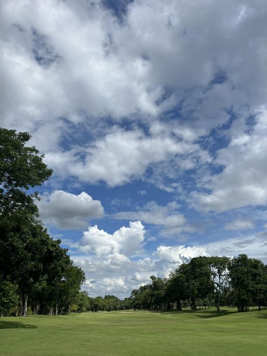 สนามกอล์ฟไดนาสตี้ แอนด์ คันทรีคลับ Dynasty Golf amp Country Club golf tree golf course and grass