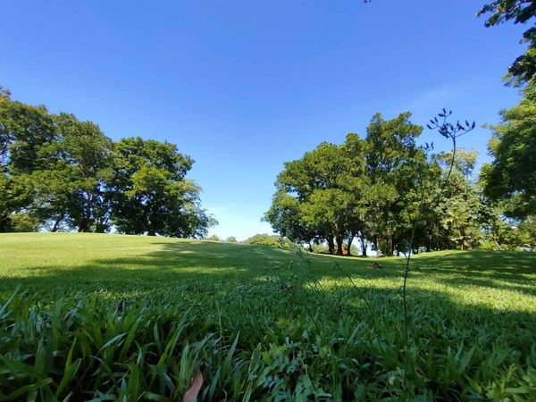 Uniland Golf amp Resort Thailand tree golf course and grass