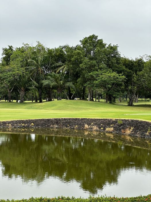 สนามกอล์ฟไดนาสตี้ แอนด์ คันทรีคลับ Dynasty Golf amp Country Club grass and golf course