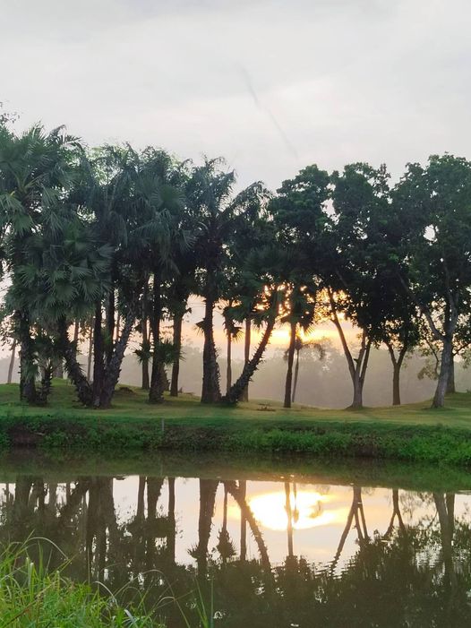 สนามกอล์ฟไดนาสตี้ แอนด์ คันทรีคลับ Dynasty Golf amp Country Club nbsp body of water twilight tree grass golf course and fog