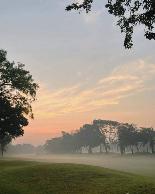 สนามกอล์ฟไดนาสตี้ แอนด์ คันทรีคลับ Dynasty Golf amp Country Club nbsp golf twilight fog tree and golf course