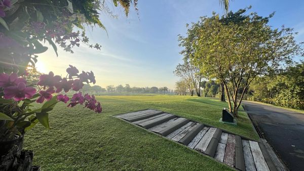 The Royal Golf amp Country Club nbsp พื้นหญ้า