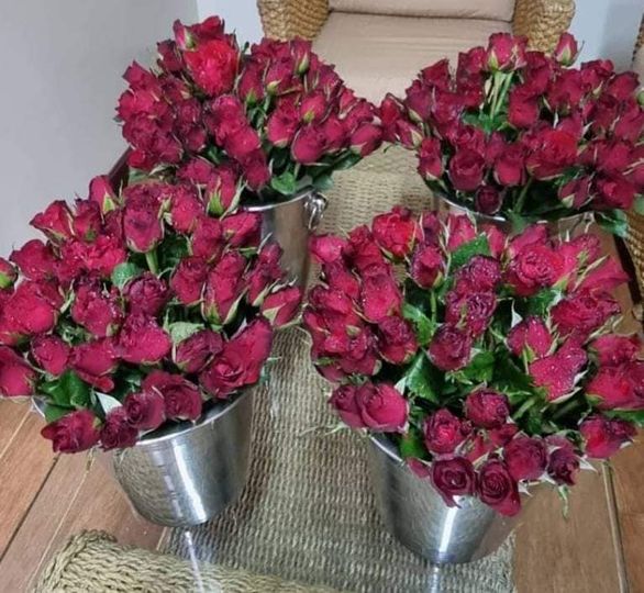 Green Valley Country Club Bangkok สนามกอล์ฟกรีนวัลเล่ คันทรีคลับ บางนา nbsp peony and prairie gentian