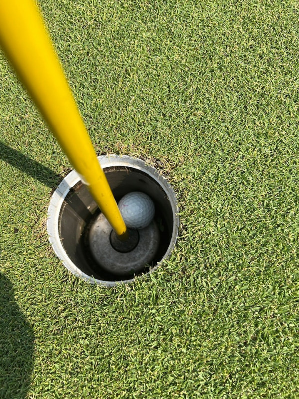 The Pine Golf Club nbsp กอล์ฟ และ สนามกอล์ฟ