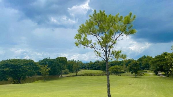 Chiangmai Inthanon Golf and Natural Resort golf golf course tree and grass