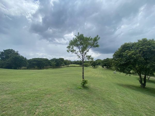 Chiangmai Inthanon Golf and Natural Resort tree golf course cloud and grass