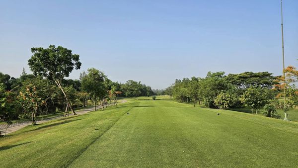 สนามกอล์ฟหริภุญชัย กอล์ฟคลับ golf golf cart grass and golf course