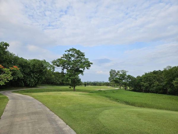 สนามกอล์ฟหริภุญชัย กอล์ฟคลับ golf golf cart grass tree and golf course