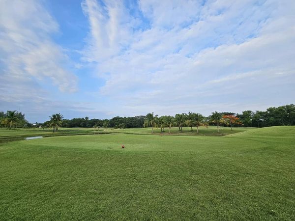 สนามกอล์ฟหริภุญชัย กอล์ฟคลับ golf grass and golf course