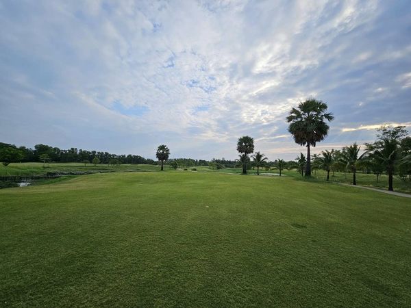 สนามกอล์ฟหริภุญชัย กอล์ฟคลับ golf twilight tree grass and golf course