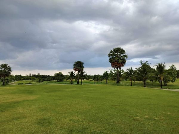 สนามกอล์ฟหริภุญชัย กอล์ฟคลับ golf golf cart tree golf course and grass