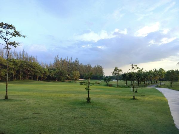 สนามกอล์ฟหริภุญชัย กอล์ฟคลับ golf cloud twilight grass golf course and tree