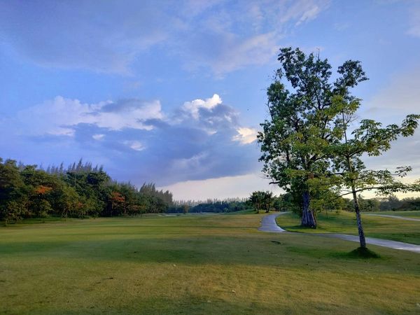 สนามกอล์ฟหริภุญชัย กอล์ฟคลับ golf golf cart twilight nature grass tree and golf course