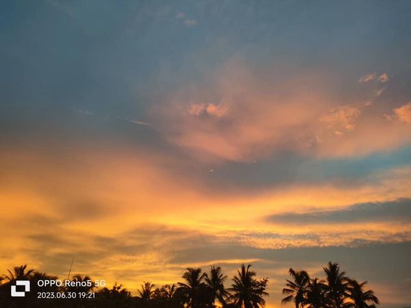 สนามกอล์ฟหริภุญชัย กอล์ฟคลับ cloud nature tree horizon and twilight