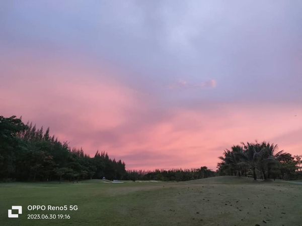 สนามกอล์ฟหริภุญชัย กอล์ฟคลับ golf tree twilight horizon cloud and golf course