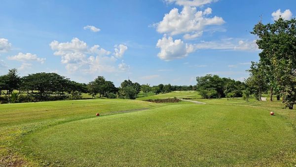 สนามกอล์ฟหริภุญชัย กอล์ฟคลับ golf golf cart grass tree and golf course