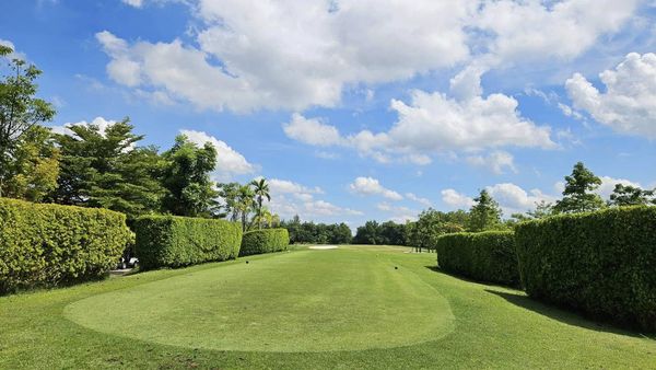 สนามกอล์ฟหริภุญชัย กอล์ฟคลับ golf grass and golf course