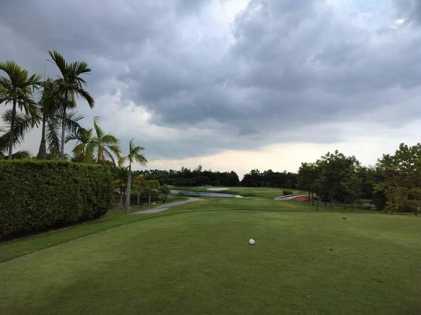 สนามกอล์ฟหริภุญชัย กอล์ฟคลับ golf golf cart grass and golf course