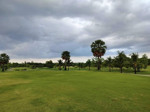 สนามกอล์ฟหริภุญชัย กอล์ฟคลับ golf golf cart grass golf course and tree