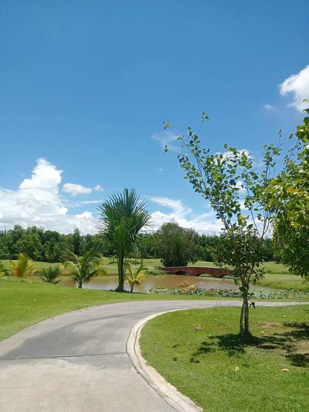 สนามกอล์ฟหริภุญชัย กอล์ฟคลับ cloud grass tree and golf course